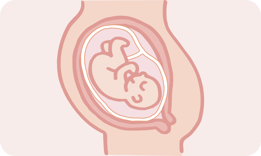 24～27週（妊娠7ヵ月）ママの様子