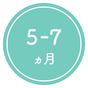 5-7ヶ月