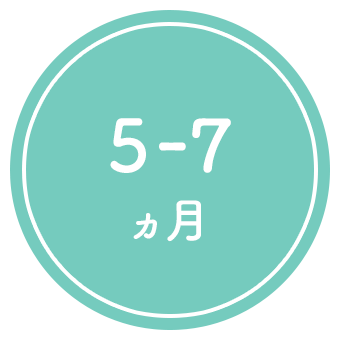 5-7ヶ月