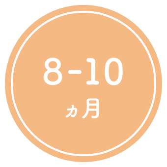 8-10ヶ月